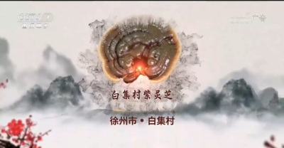 广州金域 检验报告（3）